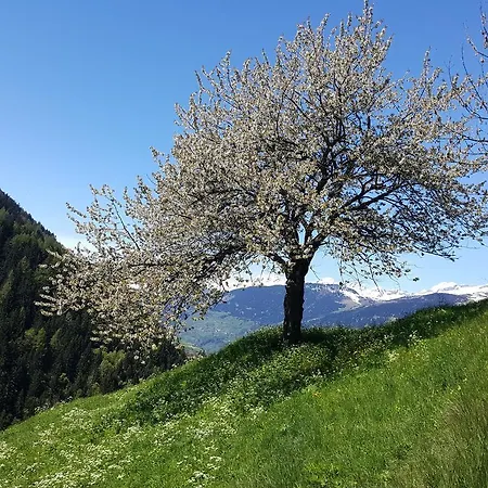 Veranstaltungshotel Jaegerheim Πανδοχείο *